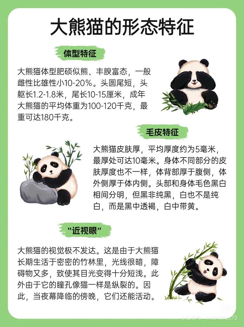 大熊猫的10个秘密