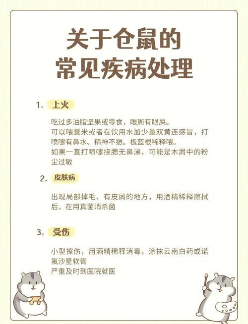 仓鼠身上弄到水了怎么办缩略图