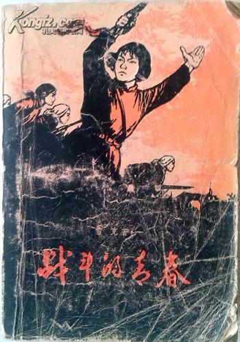 战斗的青春在线阅读
