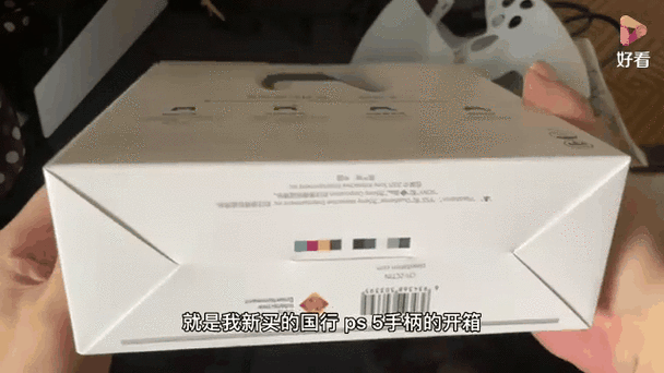 ps5国行双手柄截图