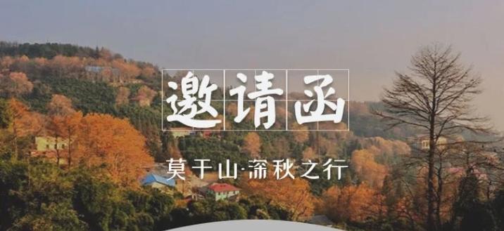 《枫叶冒险岛单机版》