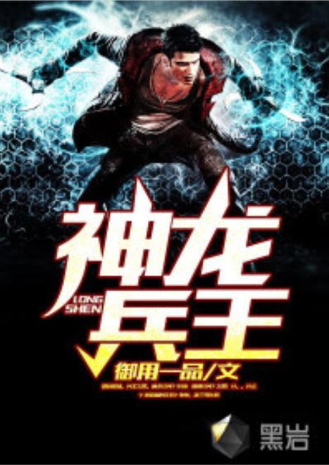 神龙兵王 小说缩略图