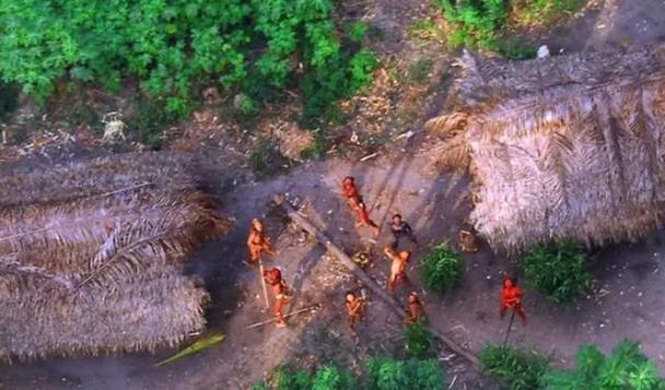 荒野求生野人岛