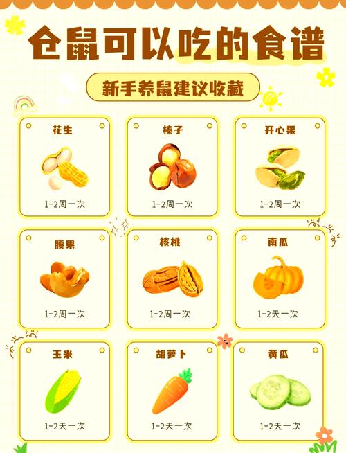 派派宠物食物等级表新版本缩略图