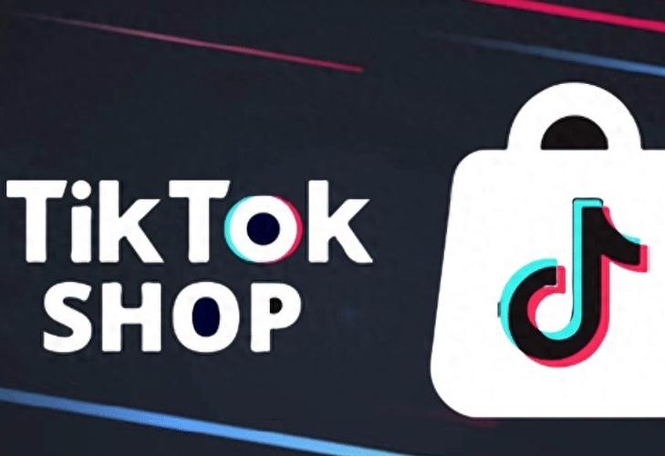 tiktok平台官网入口图标
