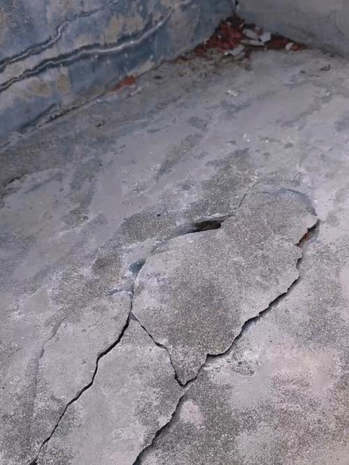 手机屏幕有裂痕但不影响使用游戏截图