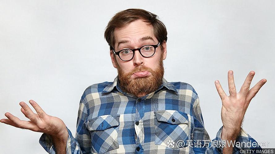 manpage什么意思截图