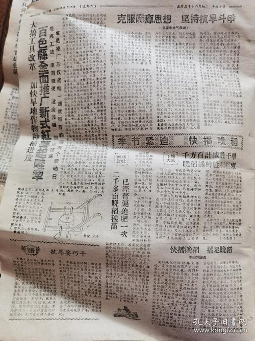 右江日报电子版截图