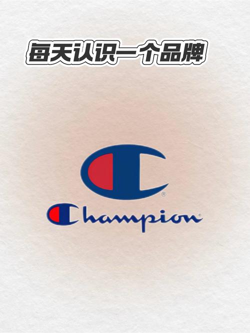 2013MotoGP谁拿了冠军截图