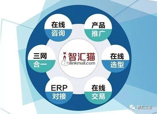 花卷app创始人缩略图