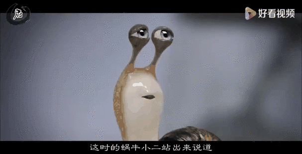 蜗牛视频老版本缩略图