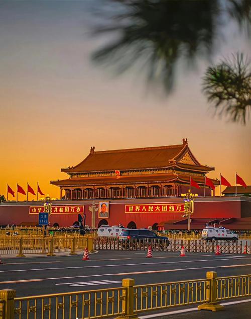 中央一台在线直播