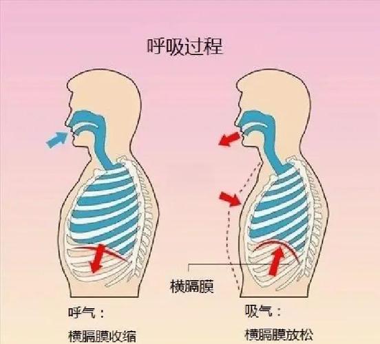 唱歌如何练好气息和打开喉咙截图