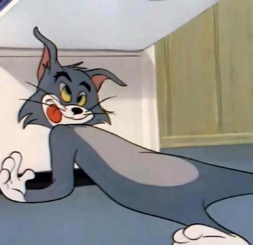 我的汤姆猫去广告缩略图