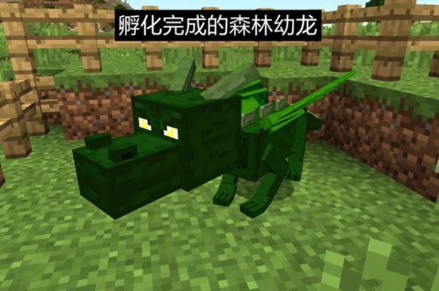 怎么孵龙蛋截图