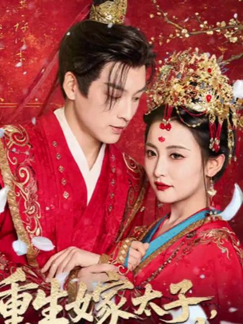 太子娶妻手册(重生)截图