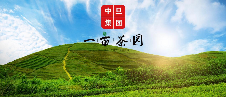 一亩茶园招商