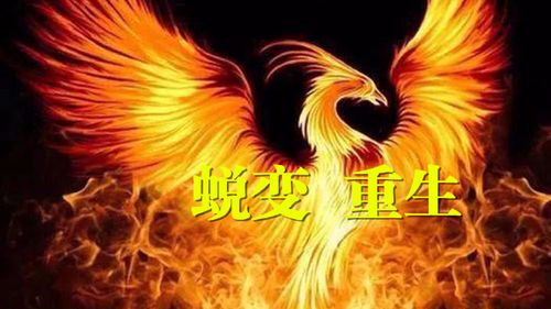 恢复相册最简单方法