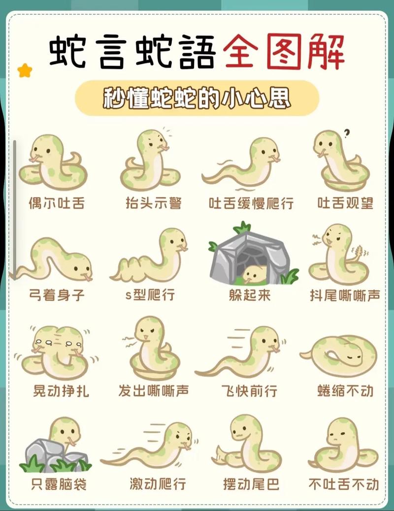 真蛇解锁条件截图