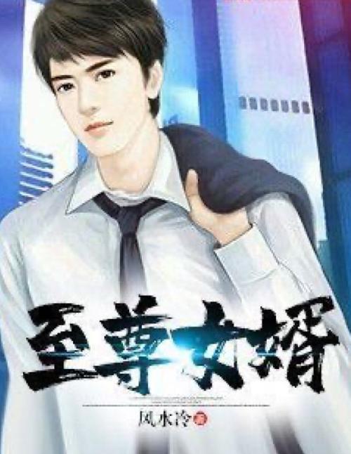 至尊女婿免费阅读何金银游戏截图