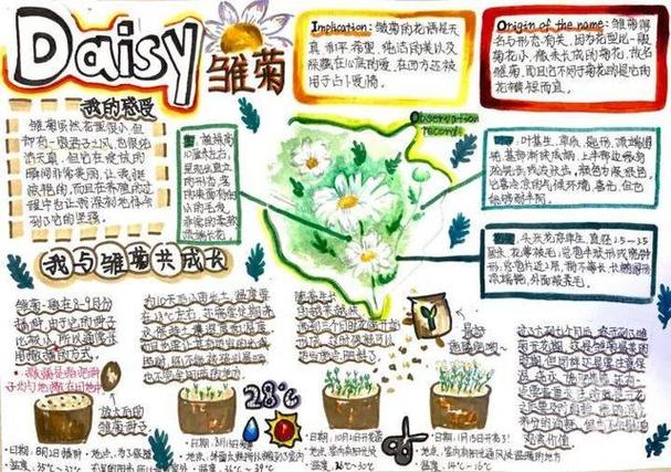 雏菊阅读任务缩略图