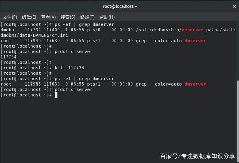 linux kill命令缩略图