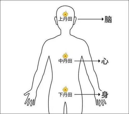 元神在身体哪个部位