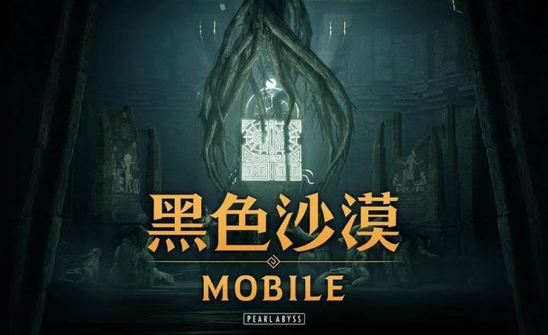 黑色沙漠手机版画质缩略图