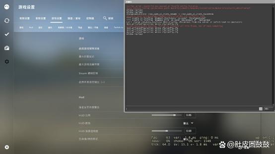 csgo怎么设置控制台参数截图