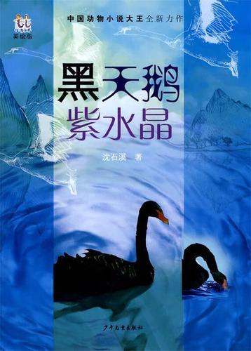 淘淘小说app