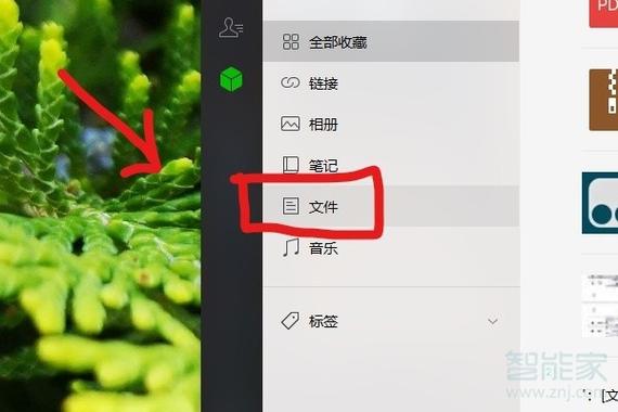 微信音频导入u盘步骤截图