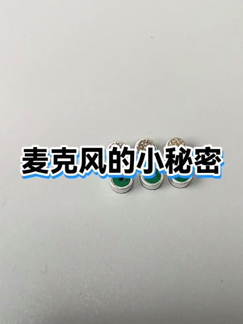 电脑后面那个是麦克风