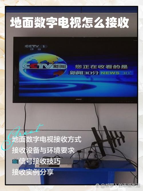电视怎么能收到中央一台游戏截图