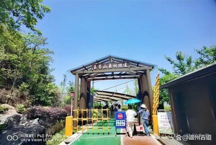 田园治愈小说