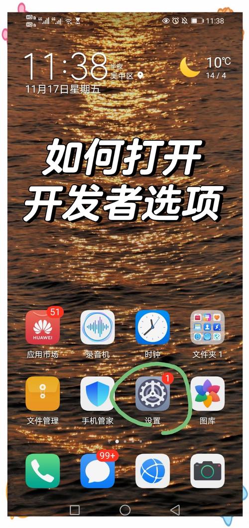 黑鲨helo开发者选项在哪里找到截图