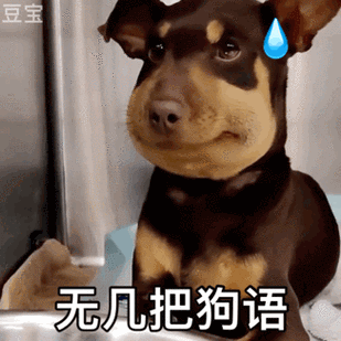 狗翻译器在线翻译