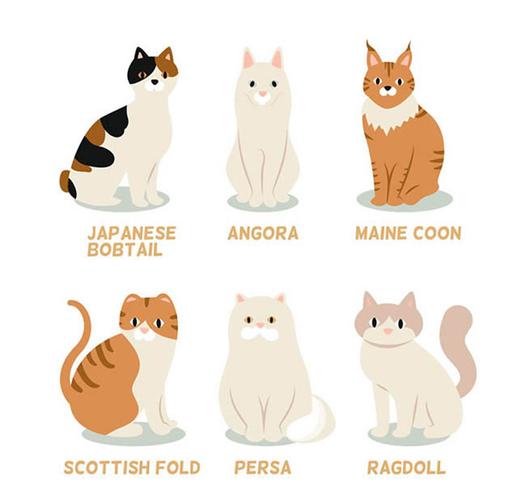 猫咪vip值不值得充值图标