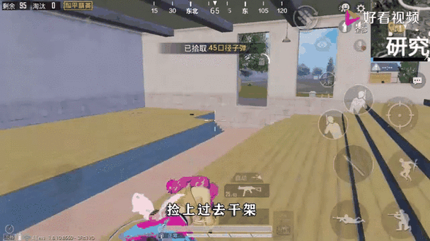 吃鸡研究所