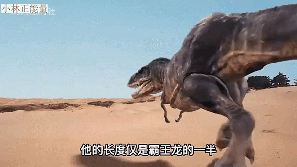 最大的食肉恐龙缩略图