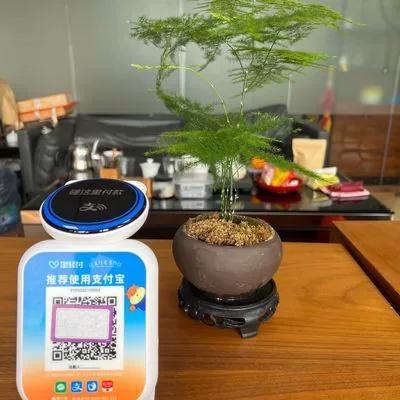 微信语音收款音箱怎么免费领图标