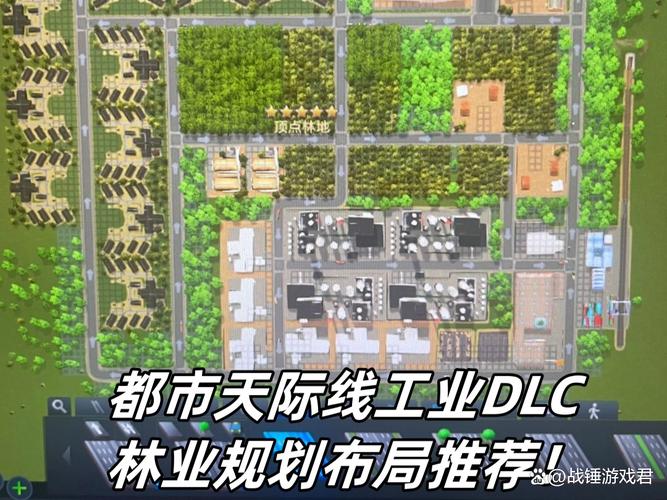 天际线林业区划怎么弄截图