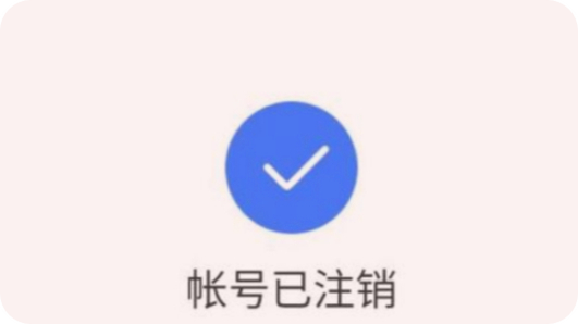 被注销是什么意思游戏截图