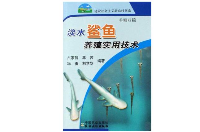 鲨鱼能养吗