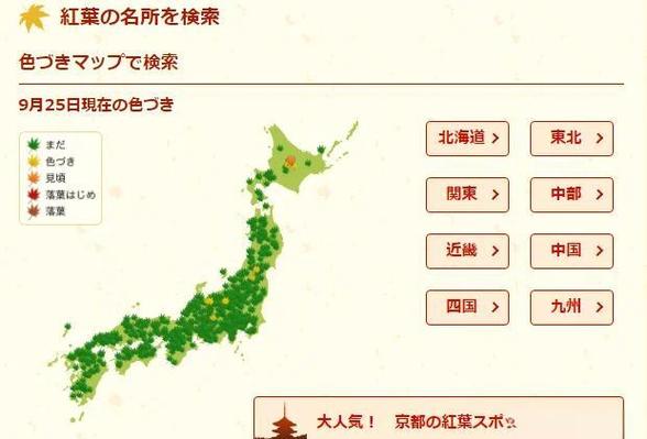 日历2020年日历表缩略图