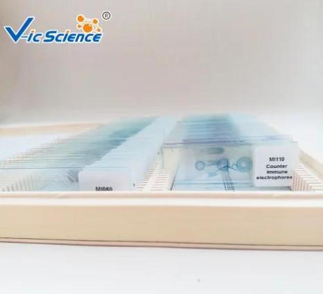 永久装片视频图标