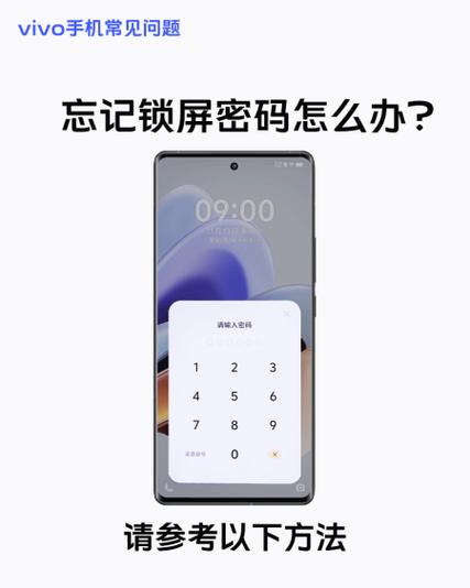 vivo六位数解锁密码截图