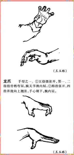 龙爪和虎爪的区别缩略图