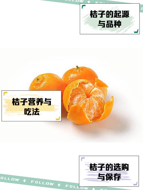 桔子录入赚钱图标