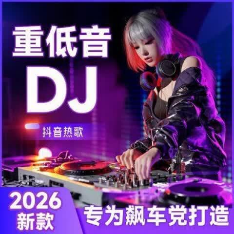 dj车载劲爆音乐截图