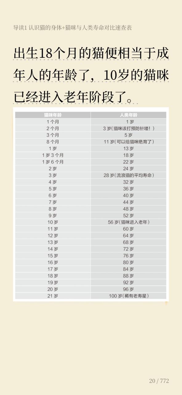 猫寿命有多长缩略图